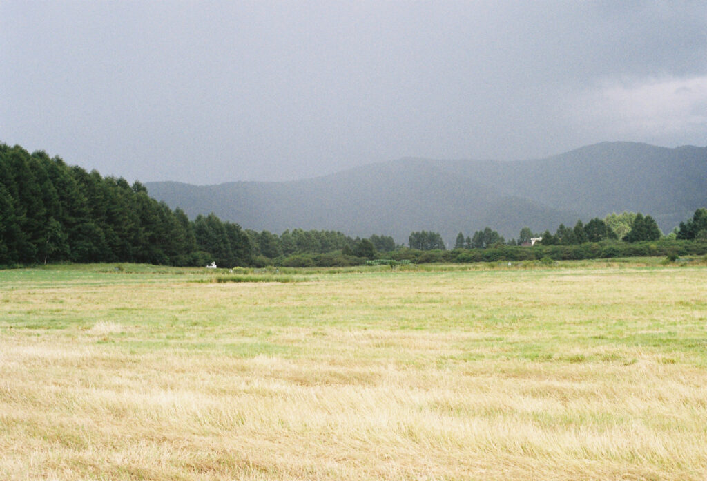 野辺山の草原