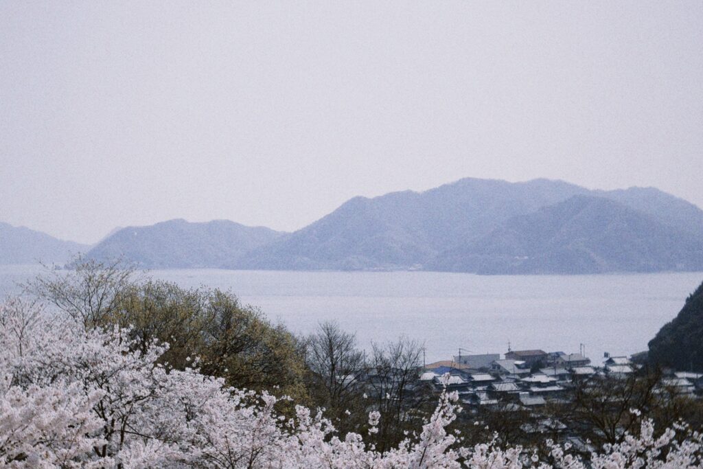 向島の集落と瀬戸内海越しの因島