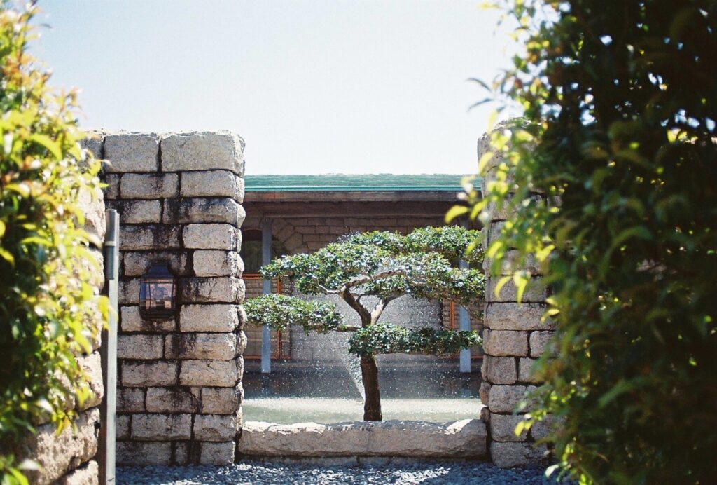 静岡市立芹沢銈介美術館の白い石積みのアプローチの途中にある池と松